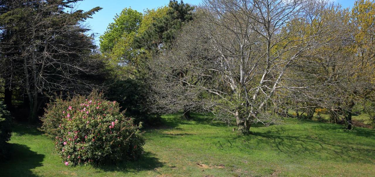 Aux Arbres Chanteurs Ploulech 外观 照片
