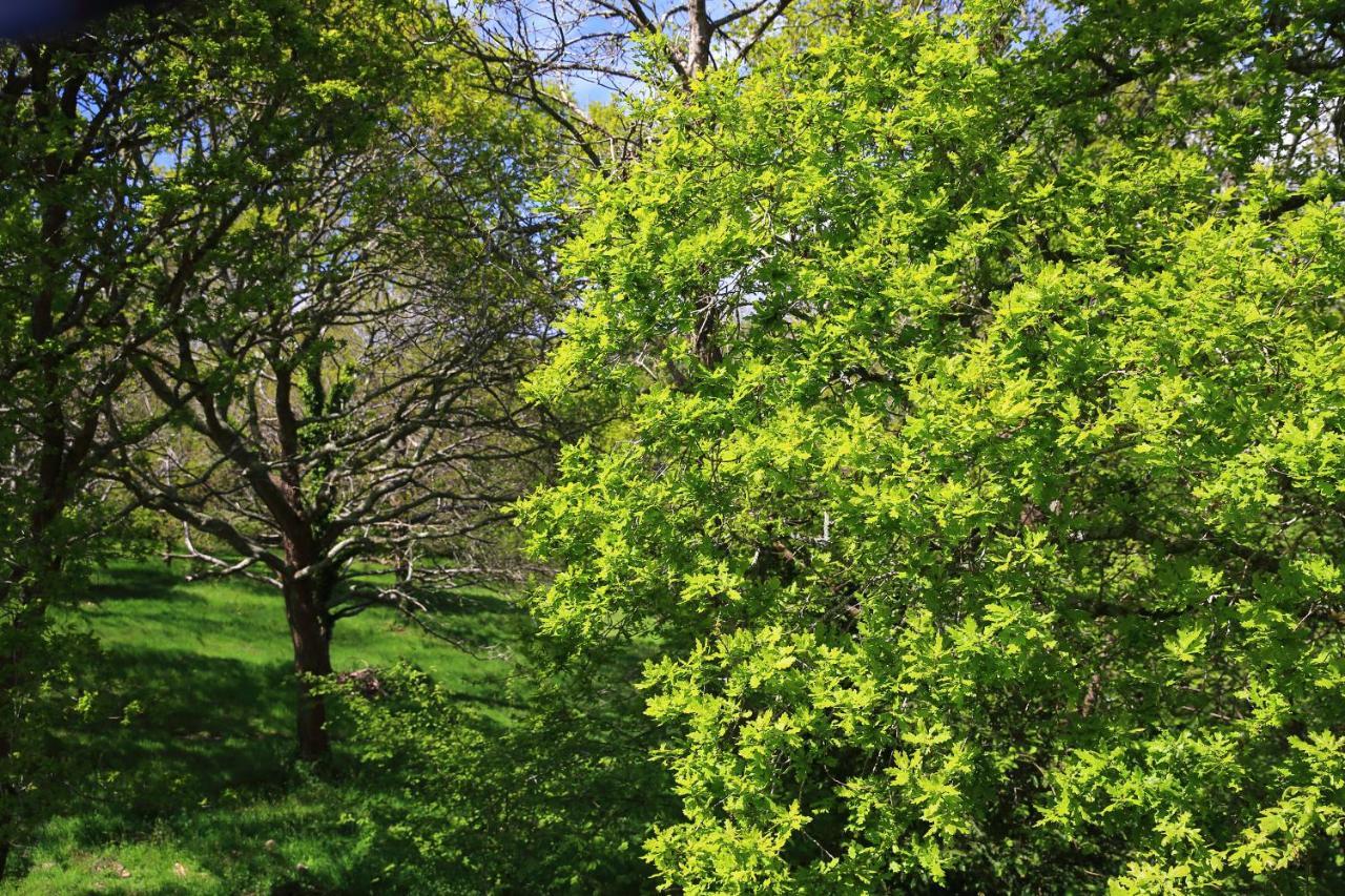 Aux Arbres Chanteurs Ploulech 外观 照片