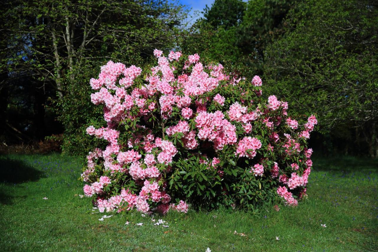 Aux Arbres Chanteurs Ploulech 外观 照片