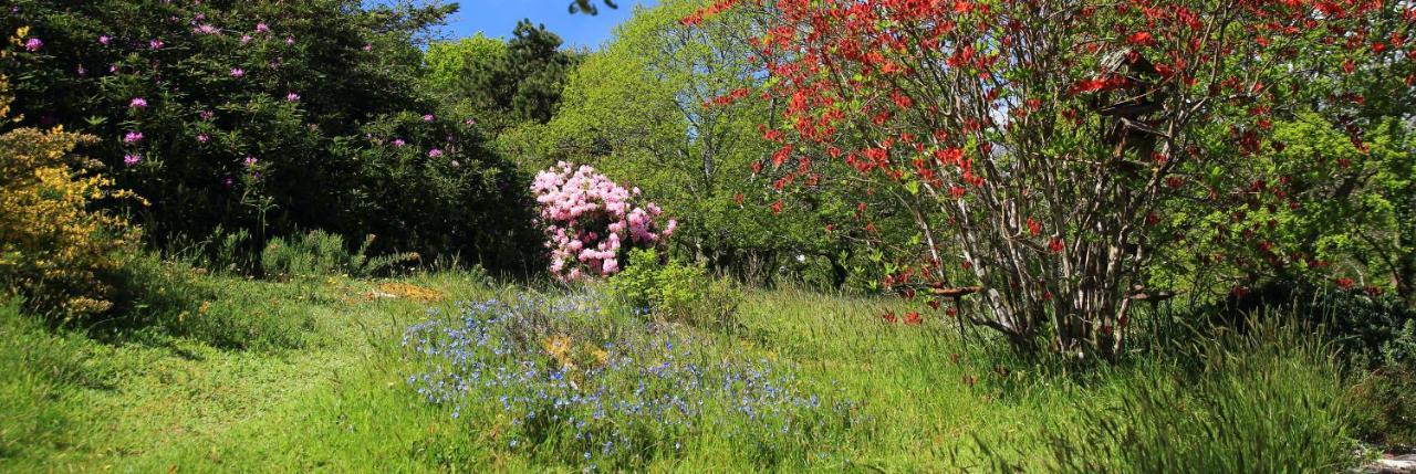 Aux Arbres Chanteurs Ploulech 外观 照片